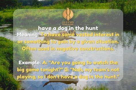 hunting in tagalog|Hunt Meaning .